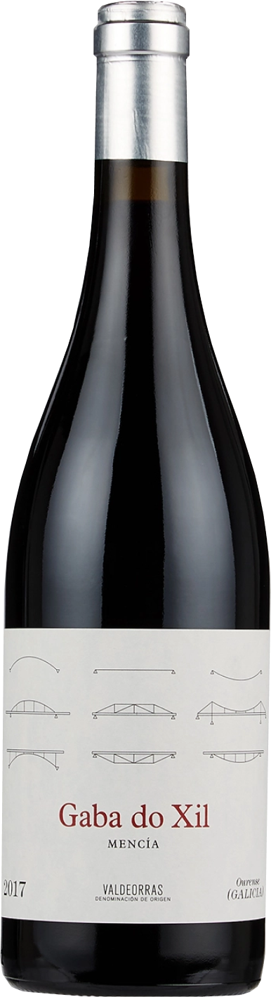 telmo-rodrigues-valdeorras-mencia-gaba-do-xil-2017