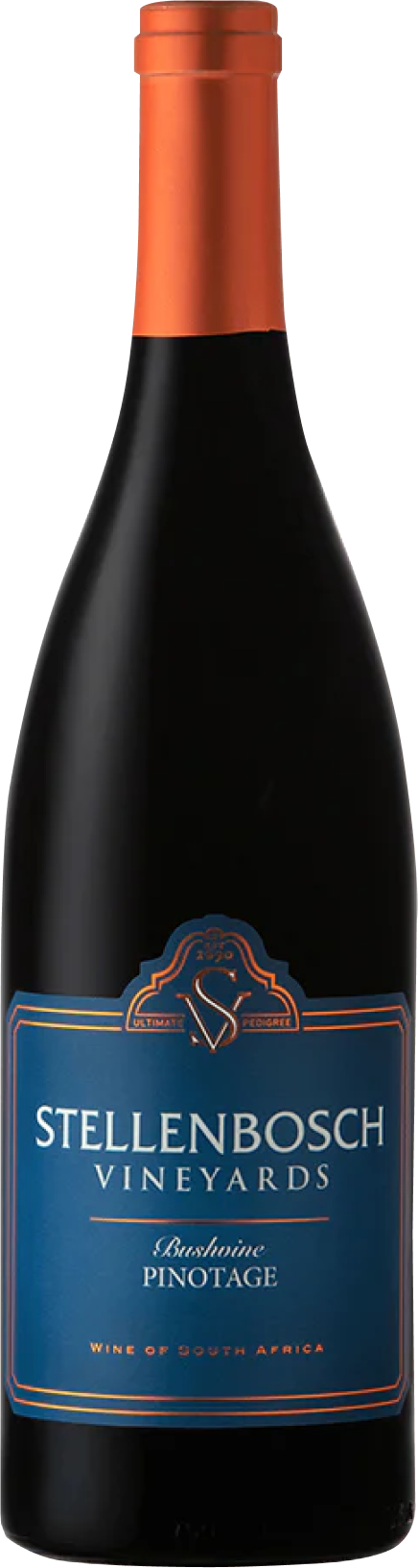 stellenbosch-vineyards-bushvine-pinotage-2021