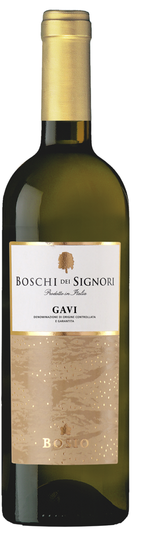 bosio-gavi-2021