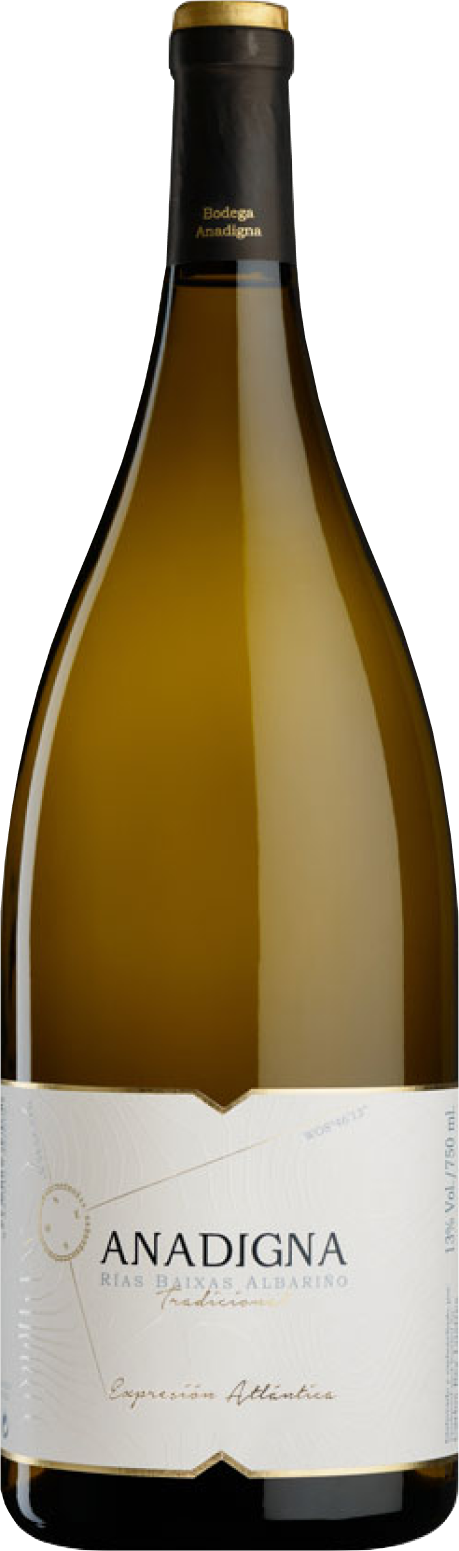 anadigna-albarià±o-2021