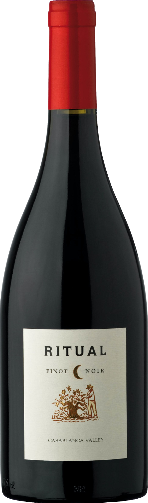 ritual-pinot-noir-2019