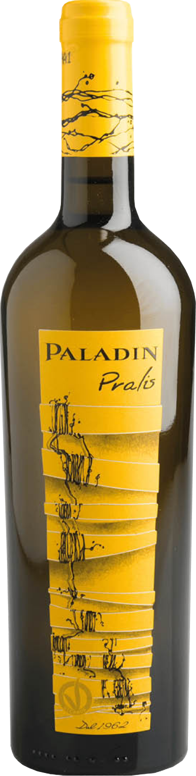 paladin-pralis-2021