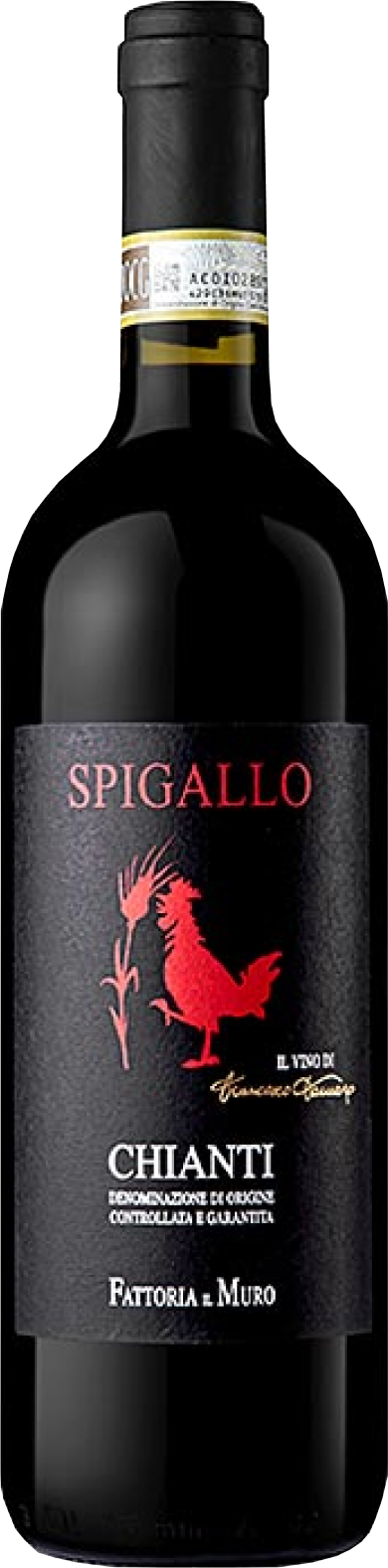 fattoria-ii-muro-spigallo-chianti-2021