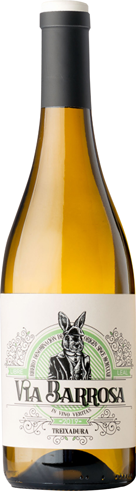 vià±a-costeira-via-barossa-trexiadura-2022