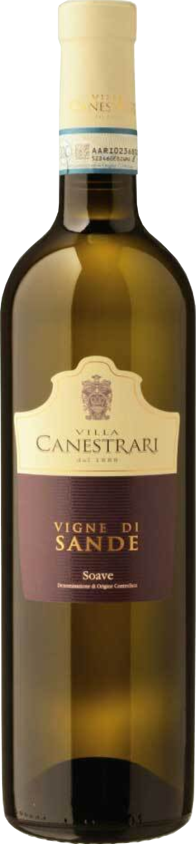 villa-canestrari-vigne-di-sande-2021