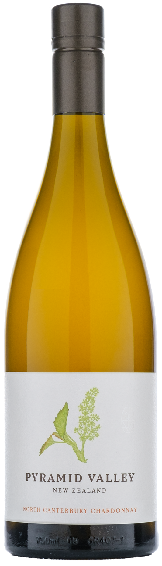 pyramid-valley-chardonnay-2018