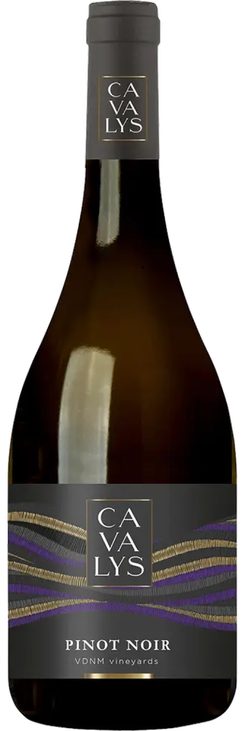 cavalys-pinot-noir-2023