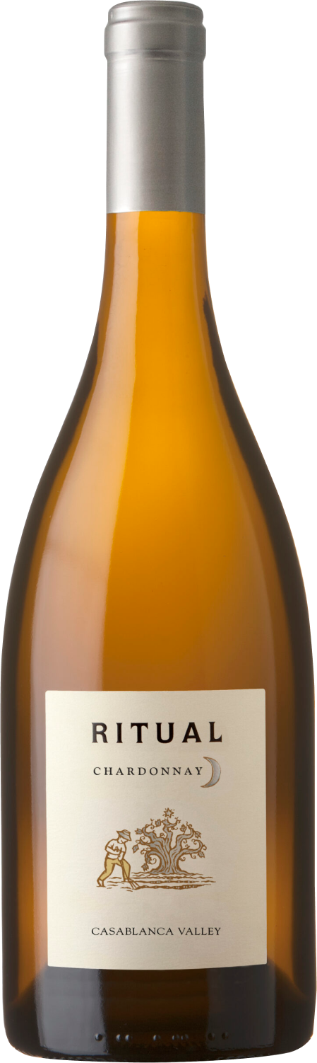 ritual-chardonnay-2021