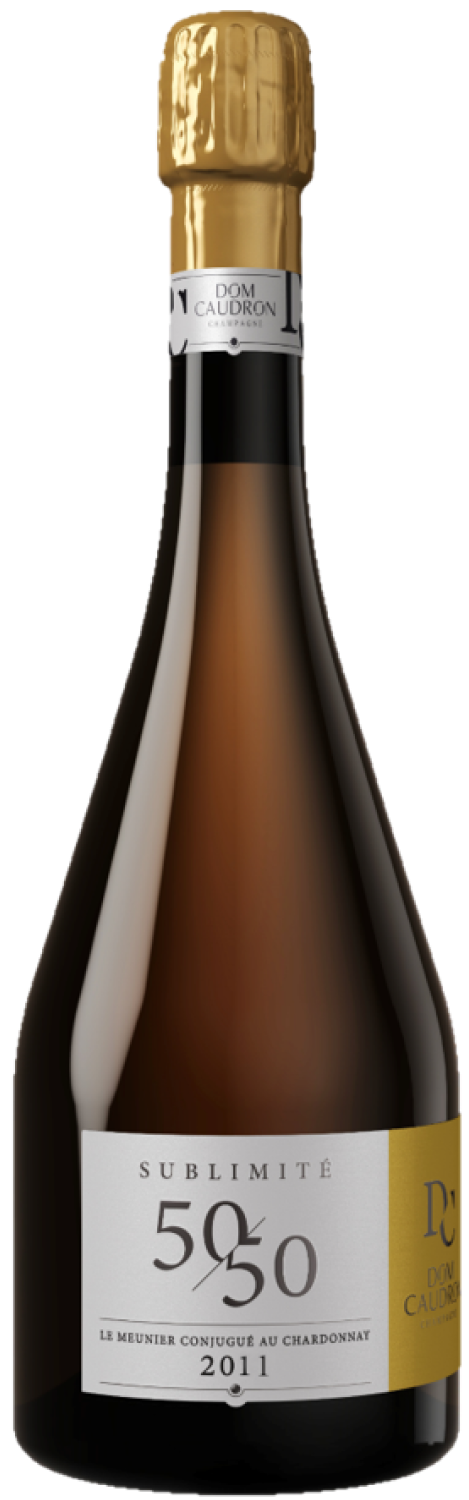 dom-caudron-sublimite-5050-2011
