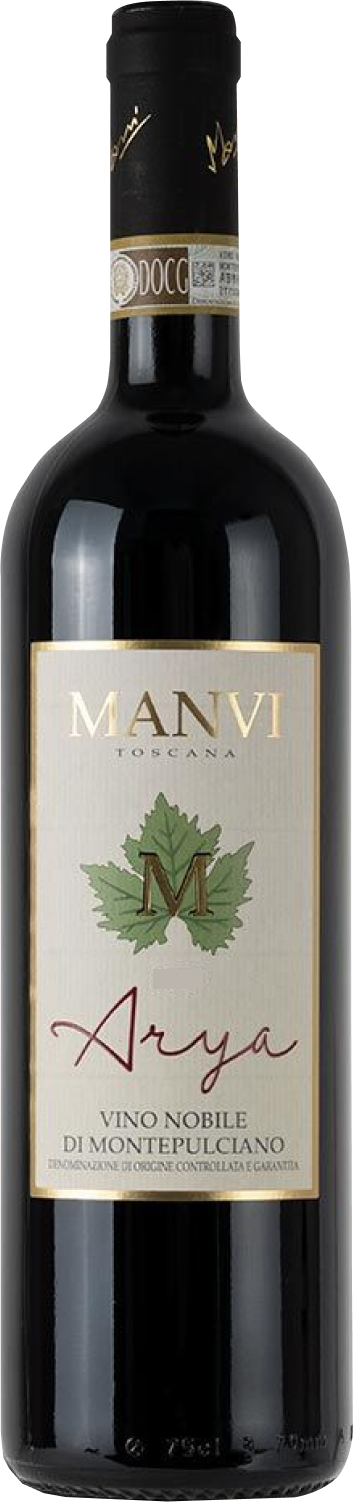 manvi-arya-2021