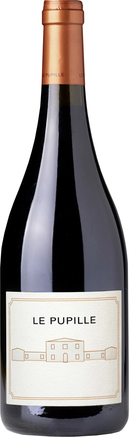 fattoria-le-pupille-syrah-2019