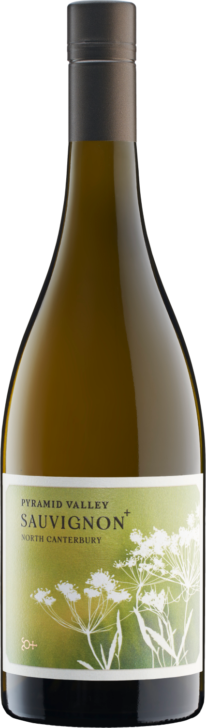 pyramid-valley-sauvignon-blanc-2021