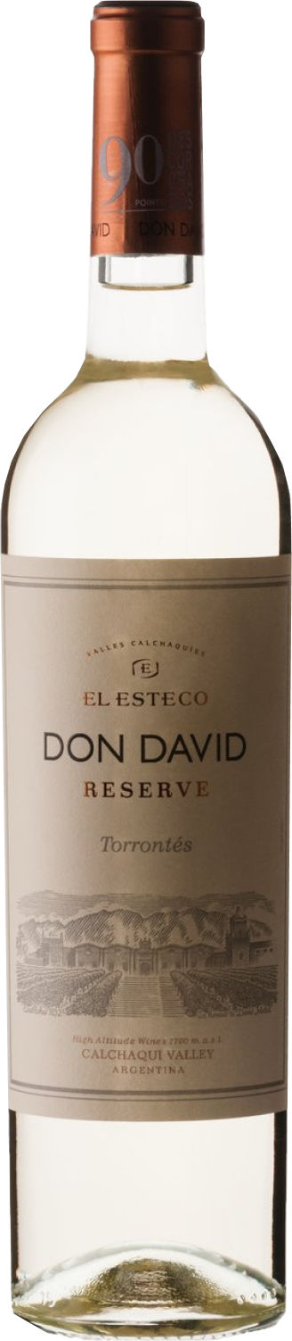 el-esteco-don-david-torrontes-2023