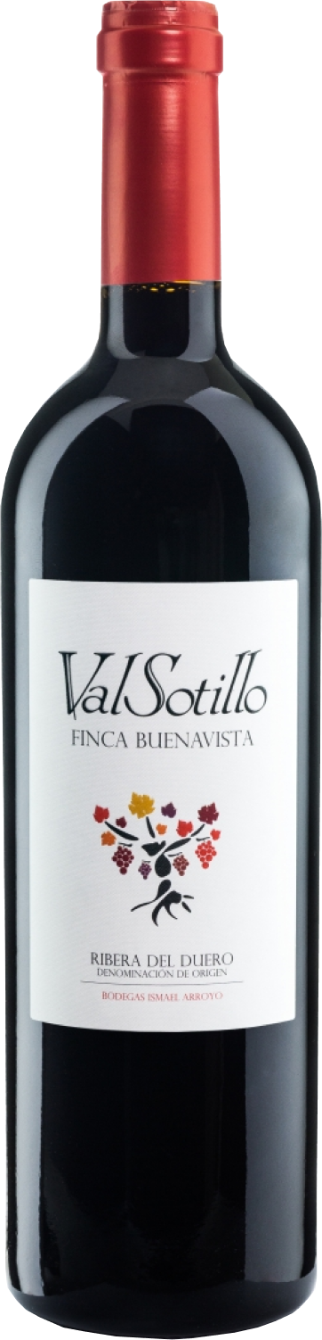 bodegas-ismael-arroyo-valsotillo-finca-buenavista-2019