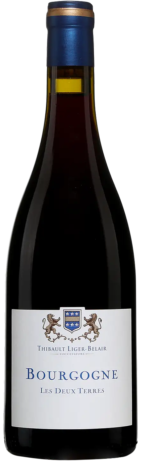 domaine-thibault-liger-belair-bourgogne-gamay-les-deux-terres-2019