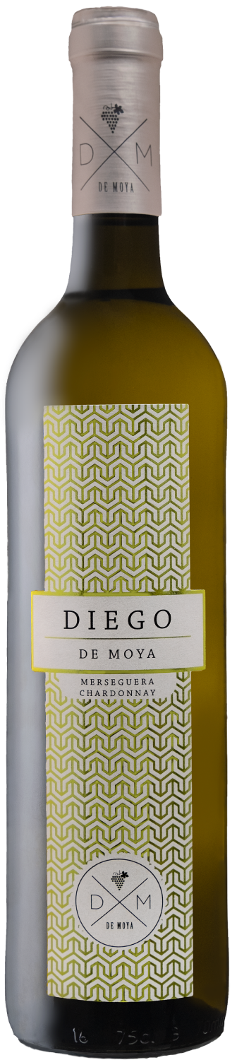 De Moya, Diego, 2024