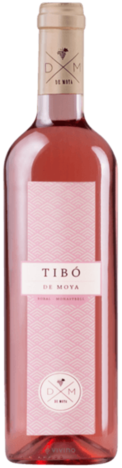 De Moya, Tibo Rose, 2024